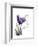 Purple Gentian Love-Albert Koetsier-Framed Premium Giclee Print