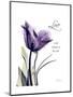 Purple Gentian Love-Albert Koetsier-Mounted Premium Giclee Print