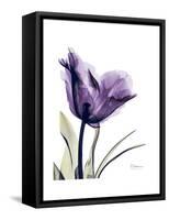 Purple Gentian Solo-Albert Koetsier-Framed Stretched Canvas