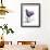 Purple Gentian Solo-Albert Koetsier-Framed Premium Giclee Print displayed on a wall