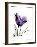 Purple Gentian Solo-Albert Koetsier-Framed Premium Giclee Print