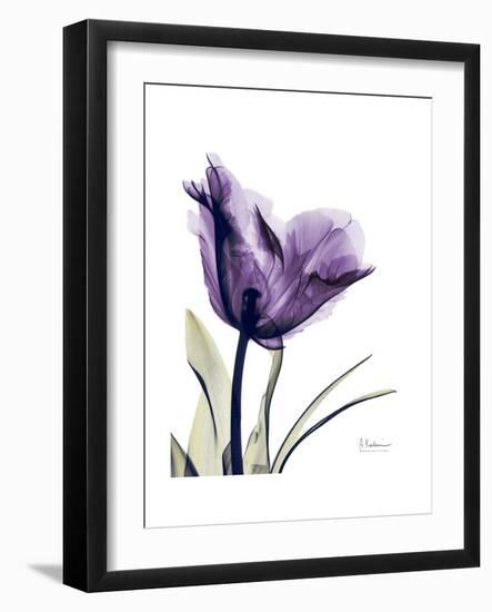 Purple Gentian Solo-Albert Koetsier-Framed Premium Giclee Print