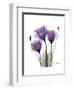 Purple Gentian Triplet-Albert Koetsier-Framed Premium Giclee Print