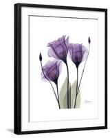 Purple Gentian Triplet-Albert Koetsier-Framed Premium Giclee Print