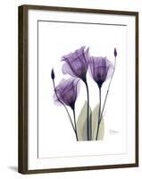 Purple Gentian Triplet-Albert Koetsier-Framed Premium Giclee Print