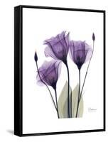 Purple Gentian Triplet-Albert Koetsier-Framed Stretched Canvas