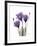 Purple Gentian Triplet-Albert Koetsier-Framed Premium Giclee Print