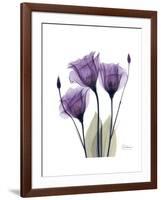 Purple Gentian Triplet-Albert Koetsier-Framed Premium Giclee Print