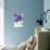 Purple Gerberas 2-Cherie Roe Dirksen-Giclee Print displayed on a wall