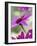 Purple Gerberas-Jean Cazals-Framed Photographic Print