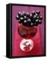 Purple Grapes Resting on a Glass of Red Wine-Foodcollection-Framed Stretched Canvas