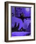 Purple Halloween Black Cats Witch Feet-sylvia pimental-Framed Art Print