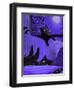 Purple Halloween Black Cats Witch Feet-sylvia pimental-Framed Art Print