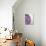 Purple Haze 2-Doug Chinnery-Photographic Print displayed on a wall