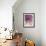 Purple Haze 5-Doug Chinnery-Framed Photographic Print displayed on a wall