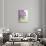 Purple Haze 6-Doug Chinnery-Photographic Print displayed on a wall