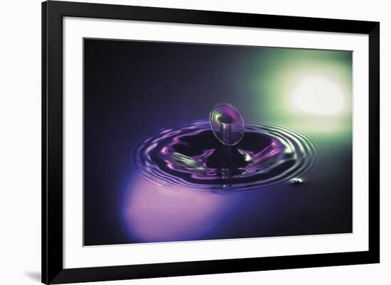 Purple Haze-Andreas Stridsberg-Framed Giclee Print