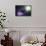 Purple Haze-Andreas Stridsberg-Mounted Giclee Print displayed on a wall