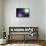 Purple Haze-Andreas Stridsberg-Stretched Canvas displayed on a wall