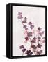 Purple Heart-Ken Roko-Framed Stretched Canvas