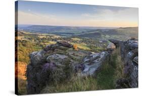 Purple Heather on Curbar Edge-Eleanor Scriven-Stretched Canvas