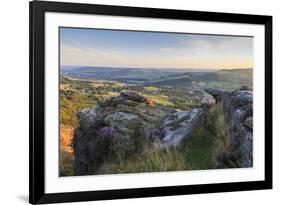 Purple Heather on Curbar Edge-Eleanor Scriven-Framed Photographic Print