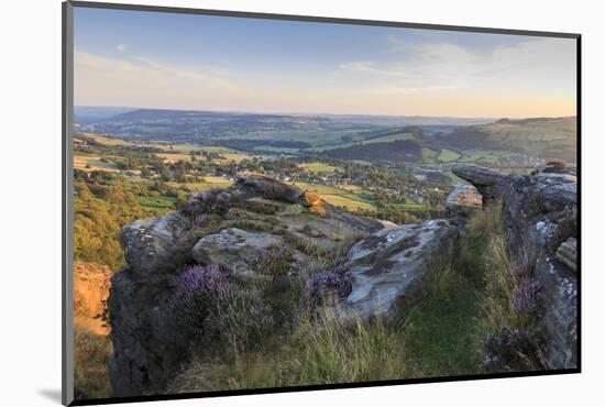 Purple Heather on Curbar Edge-Eleanor Scriven-Mounted Photographic Print