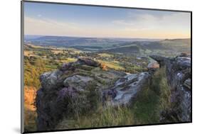 Purple Heather on Curbar Edge-Eleanor Scriven-Mounted Photographic Print