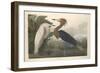 Purple Heron, 1835-John James Audubon-Framed Giclee Print