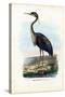 Purple Heron, 1863-79-Raimundo Petraroja-Stretched Canvas