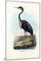 Purple Heron, 1863-79-Raimundo Petraroja-Mounted Giclee Print