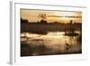 Purple Heron (Ardea Purpurea) Fishing at Sunset-Neil Aldridge-Framed Photographic Print