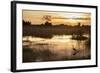 Purple Heron (Ardea Purpurea) Fishing at Sunset-Neil Aldridge-Framed Photographic Print