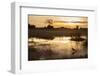 Purple Heron (Ardea Purpurea) Fishing at Sunset-Neil Aldridge-Framed Photographic Print