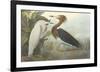 Purple Heron-John James Audubon-Framed Premium Giclee Print