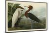 Purple Heron-John James Audubon-Mounted Giclee Print