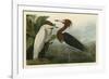 Purple Heron-John James Audubon-Framed Giclee Print