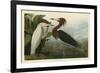 Purple Heron-John James Audubon-Framed Giclee Print