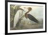 Purple Heron-James Audubon-Framed Giclee Print