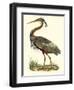 Purple Heron-John Selby-Framed Art Print