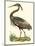 Purple Heron-John Selby-Mounted Art Print