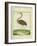 Purple Heron-Georges-Louis Buffon-Framed Giclee Print