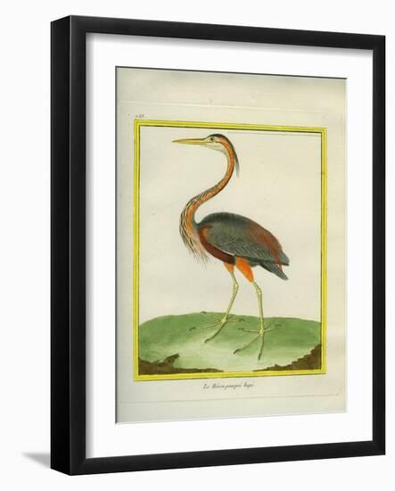 Purple Heron-Georges-Louis Buffon-Framed Giclee Print