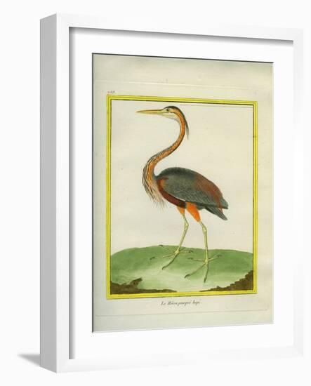 Purple Heron-Georges-Louis Buffon-Framed Giclee Print