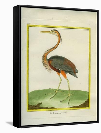 Purple Heron-Georges-Louis Buffon-Framed Stretched Canvas