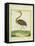 Purple Heron-Georges-Louis Buffon-Framed Stretched Canvas