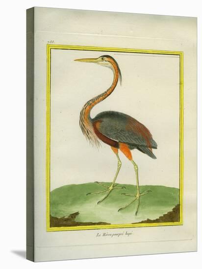 Purple Heron-Georges-Louis Buffon-Stretched Canvas