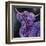 Purple Highland-Emma Catherine Debs-Framed Art Print