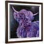 Purple Highland-Emma Catherine Debs-Framed Art Print