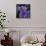 Purple Highland-Emma Catherine Debs-Framed Stretched Canvas displayed on a wall